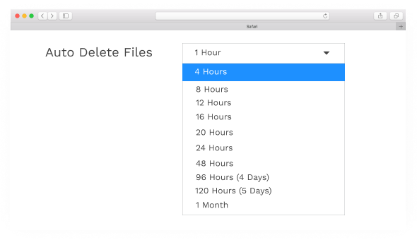 Automatic File Deletion
